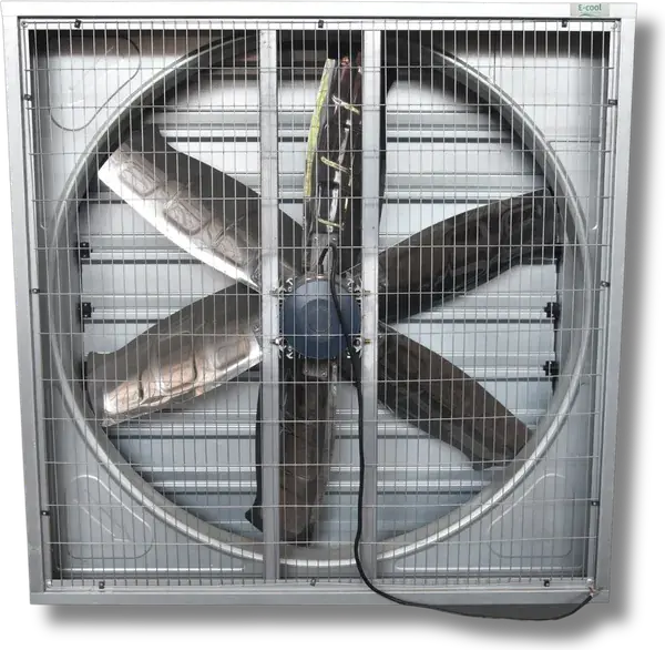 Exhaust Fans